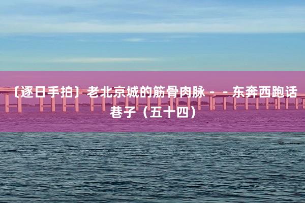 〔逐日手拍〕老北京城的筋骨肉脉--东奔西跑话巷子(五十四)