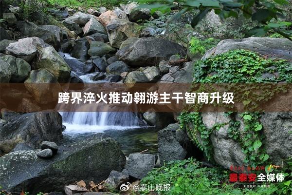 跨界淬火推动翱游主干智商升级