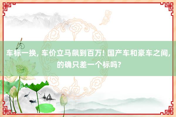 车标一换, 车价立马飙到百万! 国产车和豪车之间, 的确只差一个标吗?