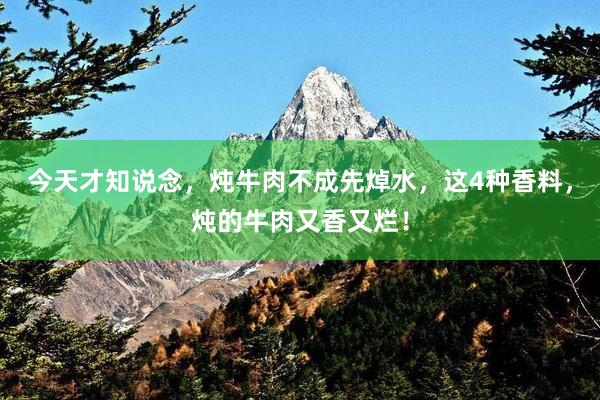 今天才知说念，炖牛肉不成先焯水，这4种香料，炖的牛肉又香又烂！