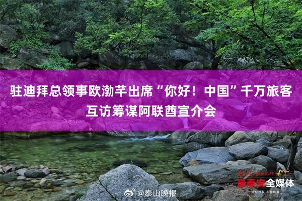 驻迪拜总领事欧渤芊出席“你好！中国”千万旅客互访筹谋阿联酋宣介会