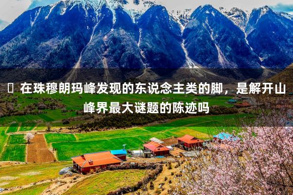 ​在珠穆朗玛峰发现的东说念主类的脚，是解开山峰界最大谜题的陈迹吗