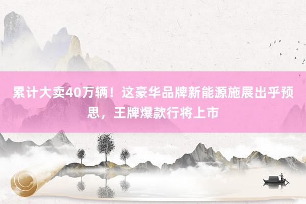 累计大卖40万辆！这豪华品牌新能源施展出乎预思，王牌爆款行将上市