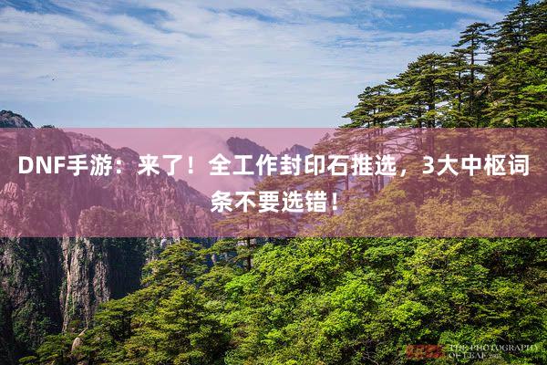 DNF手游：来了！全工作封印石推选，3大中枢词条不要选错！