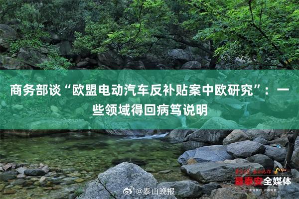 商务部谈“欧盟电动汽车反补贴案中欧研究”：一些领域得回病笃说明